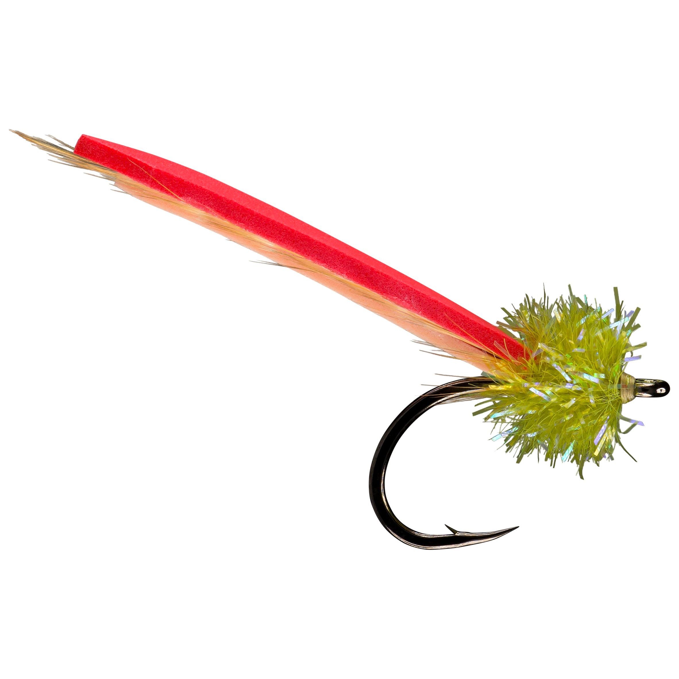 RIO Palolo Worm Olive Head Image 01